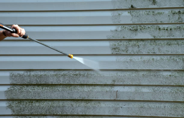 Best Pressure Washing Near Me  in Bellevue, IL