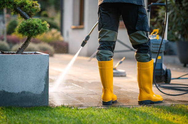 Best Garage Pressure Washing  in Bellevue, IL
